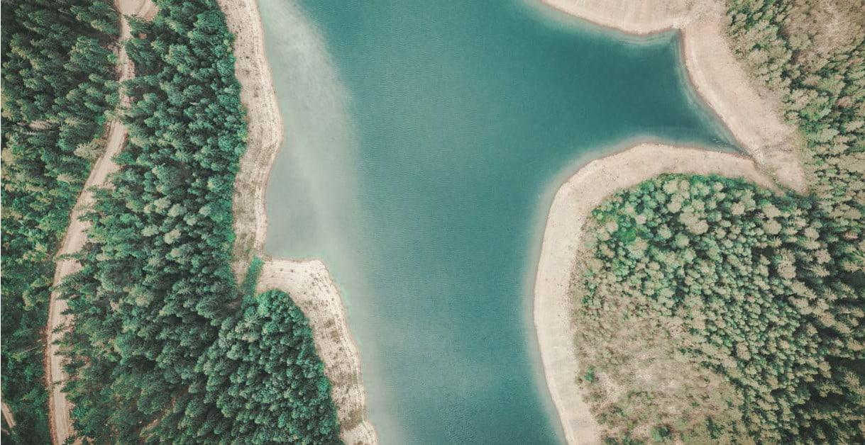 Vista cenital de un bosque y pantano